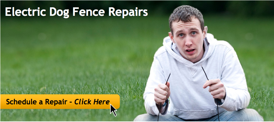 Dog Fence WIre Break Repair